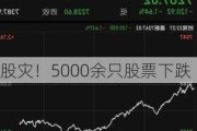 股灾！5000余只股票下跌