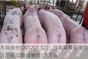 东瑞股份(001201.SZ)：目前能繁母猪约6.3万头 后备母猪约1.8万头