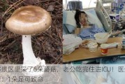 老婆景区里采了6朵蘑菇，老公吃完住进ICU！医生一看：1朵足可致命