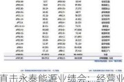 直击永泰能源业绩会：经营业绩持续增长 进一步凸显公司投资价值