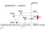 如何理解股票的盈利能力与毛利率：洞察机构盈利的核心