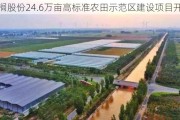 棕榈股份24.6万亩高标准农田示范区建设项目开工