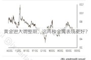 黄金进入调整期，这两种金属表现更好？