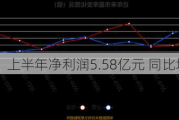 中科曙光：上半年净利润5.58亿元 同比增长2.43％