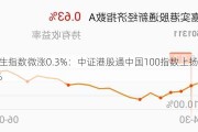 恒生指数微涨0.3%：中证港股通中国100指数上扬0.4%