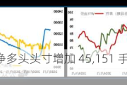 WTI 原油：净多头头寸增加 45,151 手合约，创八周新高