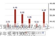 万里股份(600847.SH)：上半年预亏1300万元