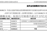 路维光电：拟发行可转债不超过7.37亿元