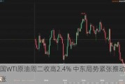 美国WTI原油周二收高2.4% 中东局势紧张推动油价上涨