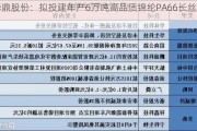 华鼎股份：拟投建年产6万吨高品质锦纶PA66长丝项目