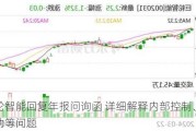 巨轮智能回复年报问询函 详细解释内部控制、业绩波动等问题