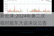 新宏泽:2024年第二次临时股东大会决议公告