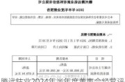 腾远钴业2024年半年度董事会经营评述