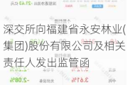 深交所向福建省永安林业(集团)股份有限公司及相关责任人发出监管函