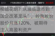 柳暗花明？从濒临退市到“国企改革龙头”，岭南股份股价月涨120%，被期待注入高盈利资产