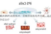 京都大学iPS细胞技术：前精原细胞培养突破，助力不孕症治疗