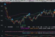 久久王盘中异动 股价大跌11.32%报0.141港元