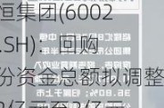 中恒集团(600252.SH)：回购股份资金总额拟调整为2亿元至3亿元