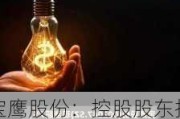 宝鹰股份：控股股东拟要约收购，股价涨超 7%，上半年预亏 2 亿至 2.4 亿