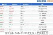 海波重科:2024年半年度利润分配实施公告