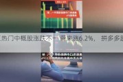 周三热门中概股涨跌不一 蔚来涨6.2%， 拼多多跌1.3%