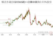 横店东磁(002056.SZ)：已累计回购0.93%股份