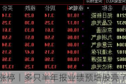 揭秘涨停丨多只半年报业绩预增股亮了