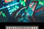 路维光电：拟发行可转债募资不超7.37亿元