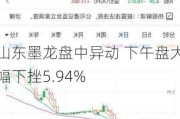 山东墨龙盘中异动 下午盘大幅下挫5.94%