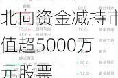 北向资金减持市值超5000万元股票