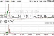 光伏运营商午后上扬 卡姆丹克太阳能上涨50%阳光能源涨超22%