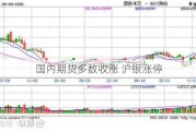 国内期货多数收涨 沪银涨停