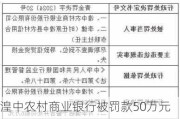 湟中农村商业银行被罚款50万元：因尽职调查不到位导致信贷资金损失