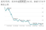 美元/日元：欧洲早盘前跌至156.50，跌破157水平触发止损