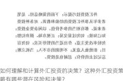 如何理解和计算外汇投资的决策？这种外汇投资策略有哪些潜在风险和决策？