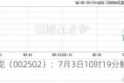 ST鼎龙（002502）：7月3日10时19分触及涨停板