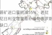 锡矿进口量锐减55%：老挝尼日利亚增量难补缅甸俄罗斯缺口