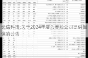 长信科技:关于2024年度为参股公司提供担保的公告