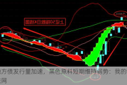 地方债发行量加速，黑色原料短期维持弱势：我的钢铁网