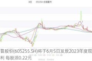 天普股份(605255.SH)将于6月5日发放2023年度现金红利 每股派0.22元