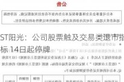 ST阳光：公司股票触及交易类退市指标 14日起停牌