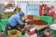 红枣：新季枣质量两级分化 好枣收购价上涨