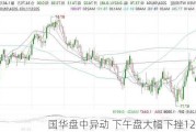 国华盘中异动 下午盘大幅下挫12.79%