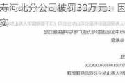 国华人寿河北分公司被罚30万元：因财务数据不真实