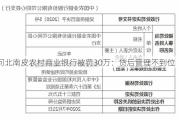 河北南皮农村商业银行被罚30万：贷后管理不到位