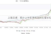 上海沿浦：预计上半年净利润同比增长92%