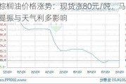 棕榈油价格涨势：现货涨80元/吨，马盘提振与天气利多影响