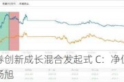 山西证券创新成长混合发起式 C：净值及持仓，经理杨旭