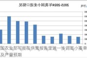 美国农业部可能在供需报告里进一步调高小麦单产以及产量预期