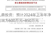 九鼎投资：预计2024年上半年净利润为600万元~850万元